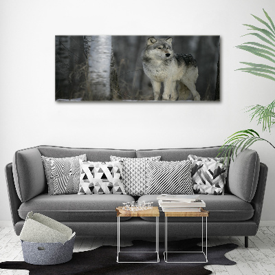 Cuadro canvas moderno de gran formato horizontal Lobo gris