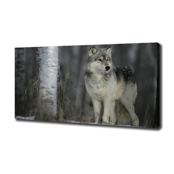 Cuadro canvas moderno de gran formato horizontal Lobo gris