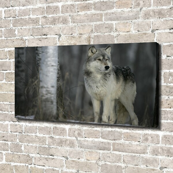 Cuadro canvas moderno de gran formato horizontal Lobo gris