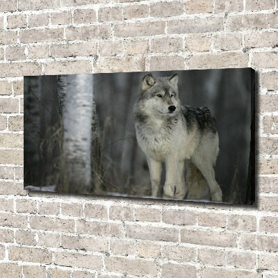 Cuadro canvas moderno de gran formato horizontal Lobo gris