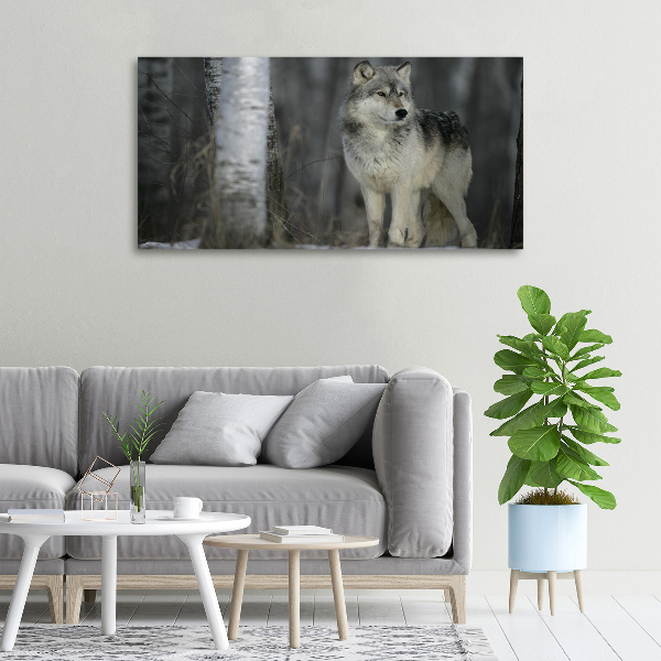 Cuadro canvas moderno de gran formato horizontal Lobo gris