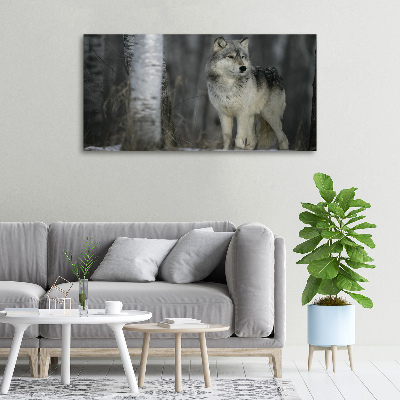 Cuadro canvas moderno de gran formato horizontal Lobo gris