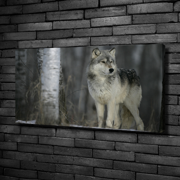 Cuadro canvas moderno de gran formato horizontal Lobo gris