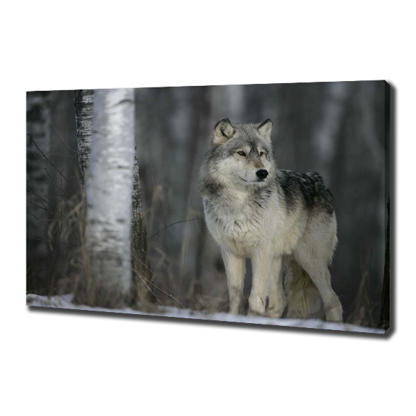 Cuadro canvas moderno de gran formato horizontal Lobo gris