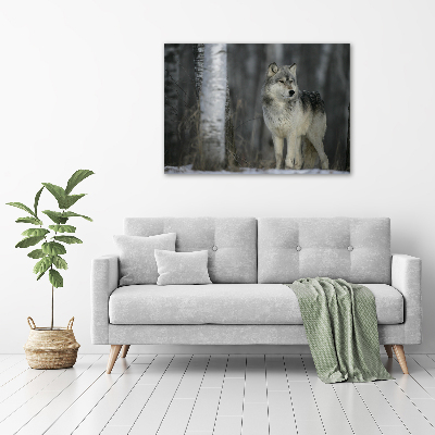 Cuadro canvas moderno de gran formato horizontal Lobo gris