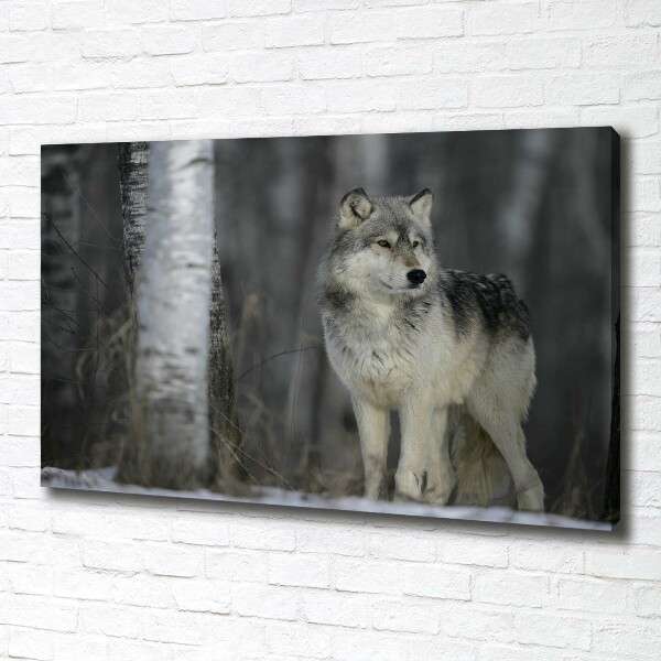 Cuadro canvas moderno de gran formato horizontal Lobo gris