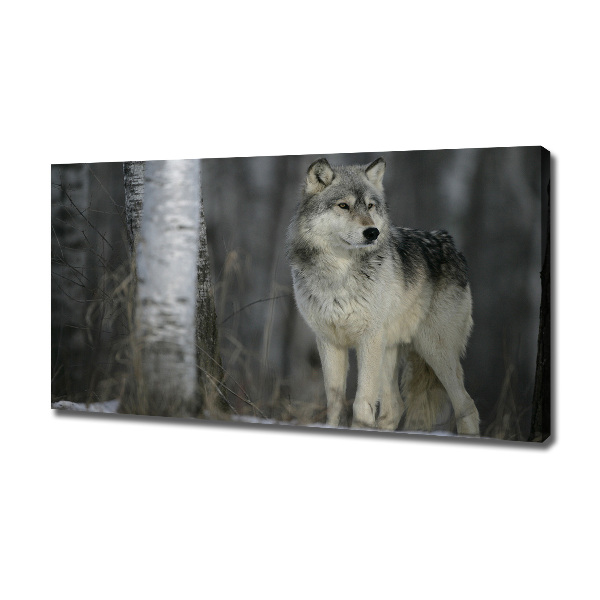 Cuadro canvas moderno de gran formato horizontal Lobo gris