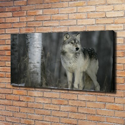 Cuadro canvas moderno de gran formato horizontal Lobo gris