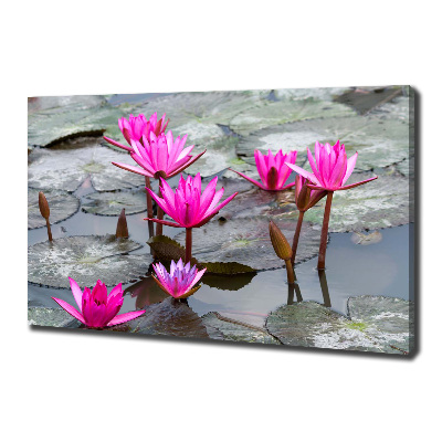 Cuadro canvas moderno de gran formato horizontal flor de loto