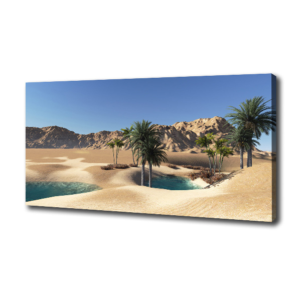 Cuadro canvas moderno de gran formato horizontal Oasis