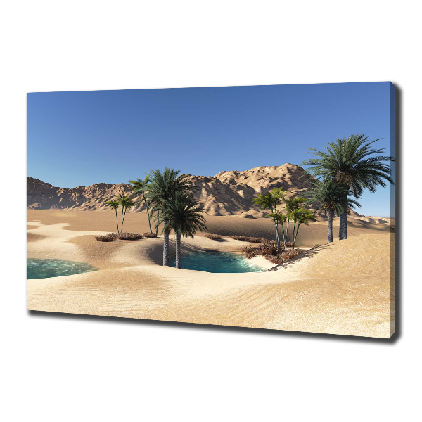 Cuadro canvas moderno de gran formato horizontal Oasis
