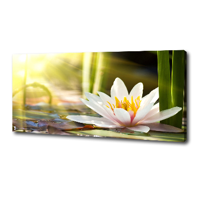 Cuadro canvas con impresión uv duradera horizontal Nenúfar