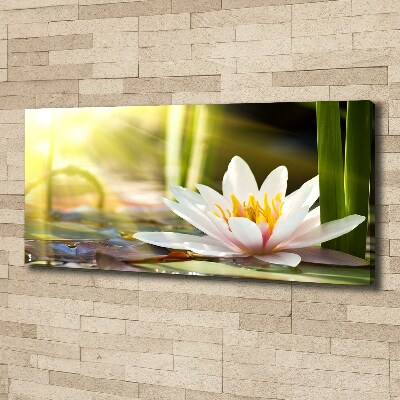 Cuadro canvas con impresión uv duradera horizontal Nenúfar