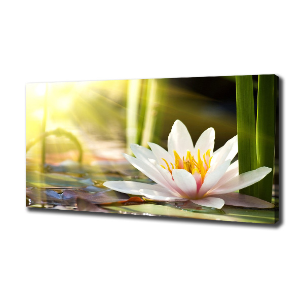 Cuadro canvas con impresión uv duradera horizontal Nenúfar