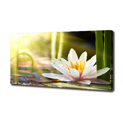 Cuadro canvas con impresión uv duradera horizontal Nenúfar