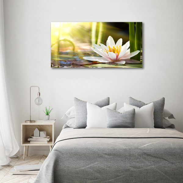 Cuadro canvas con impresión uv duradera horizontal Nenúfar
