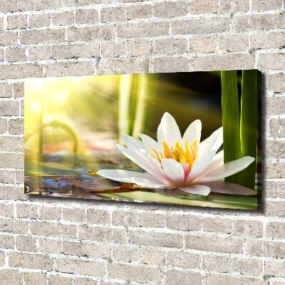 Cuadro canvas con impresión uv duradera horizontal Nenúfar