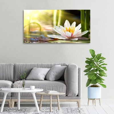 Cuadro canvas con impresión uv duradera horizontal Nenúfar