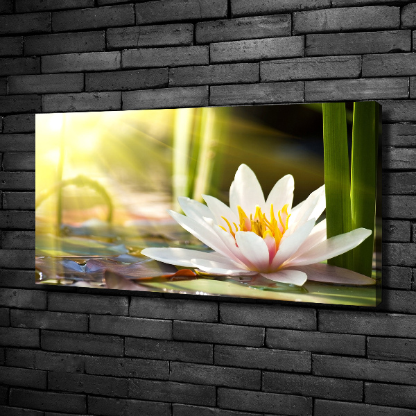 Cuadro canvas con impresión uv duradera horizontal Nenúfar