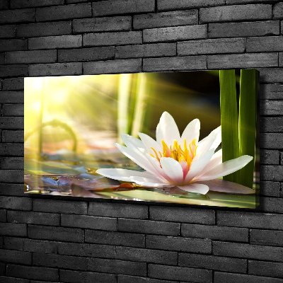 Cuadro canvas con impresión uv duradera horizontal Nenúfar