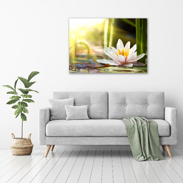 Cuadro canvas con impresión uv duradera horizontal Nenúfar