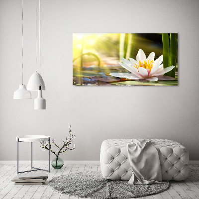 Cuadro canvas con impresión uv duradera horizontal Nenúfar
