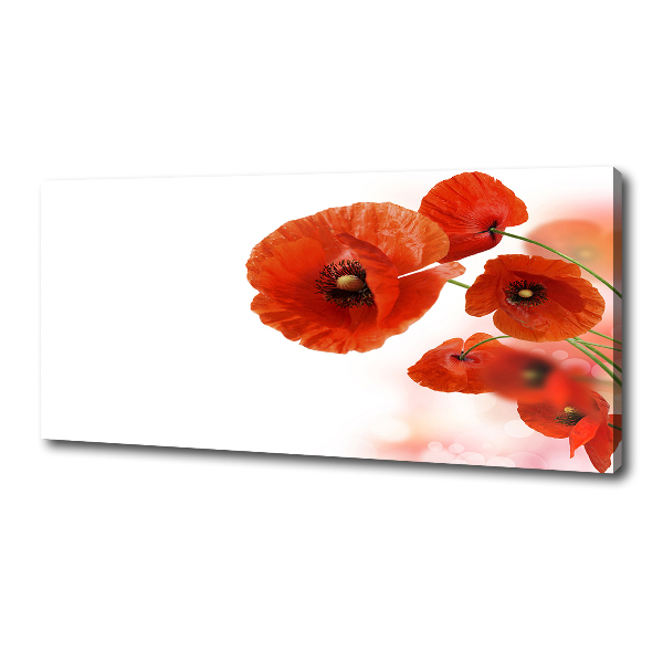 Cuadro canvas moderno de gran formato horizontal Amapolas