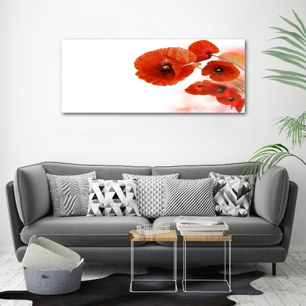 Cuadro canvas moderno de gran formato horizontal Amapolas