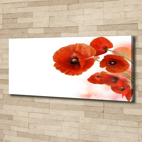 Cuadro canvas moderno de gran formato horizontal Amapolas