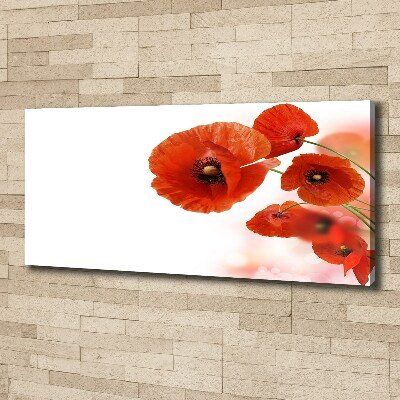 Cuadro canvas moderno de gran formato horizontal Amapolas