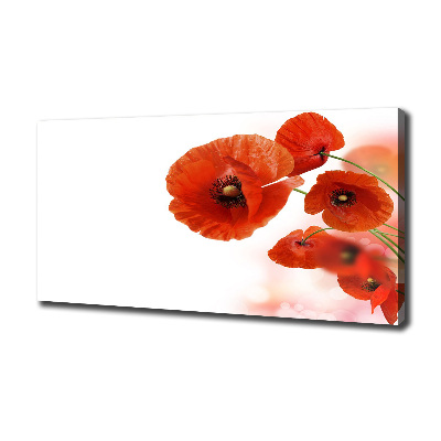 Cuadro canvas moderno de gran formato horizontal Amapolas