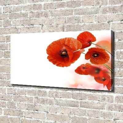 Cuadro canvas moderno de gran formato horizontal Amapolas