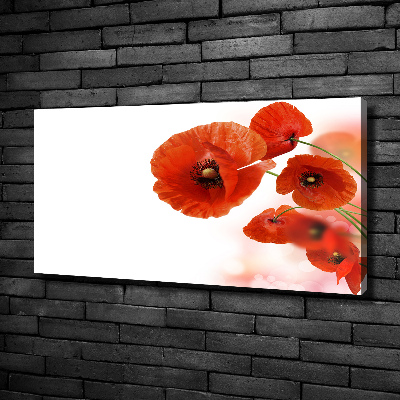 Cuadro canvas moderno de gran formato horizontal Amapolas
