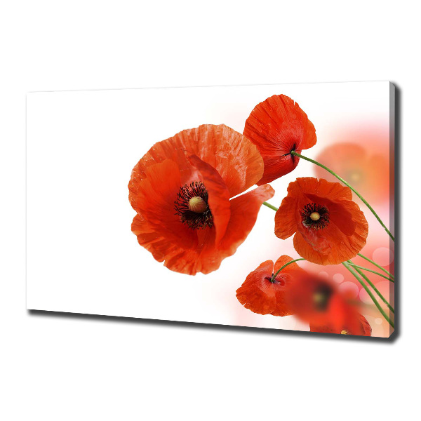 Cuadro canvas moderno de gran formato horizontal Amapolas