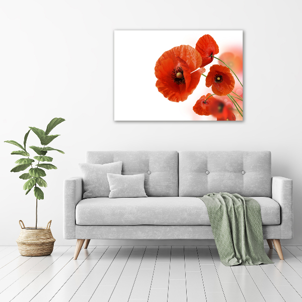 Cuadro canvas moderno de gran formato horizontal Amapolas