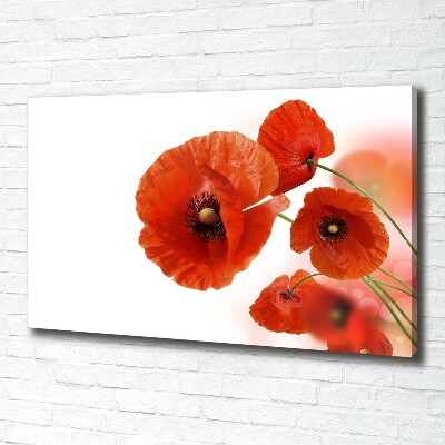 Cuadro canvas moderno de gran formato horizontal Amapolas