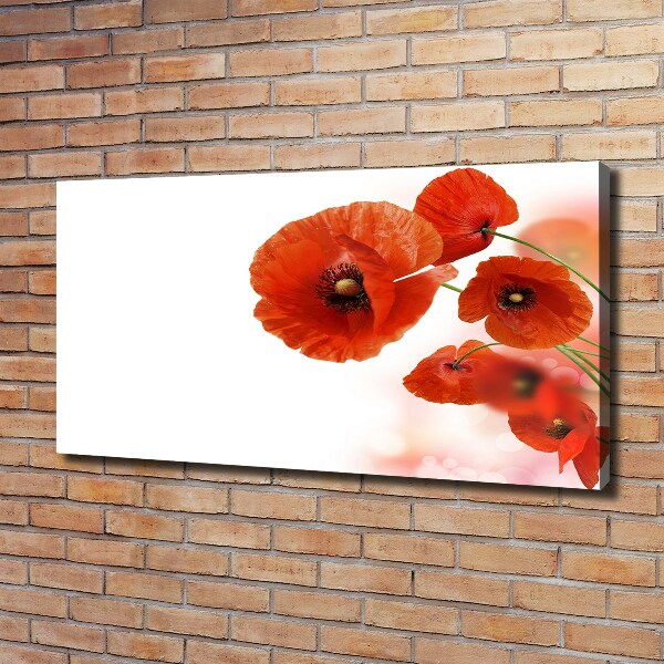 Cuadro canvas moderno de gran formato horizontal Amapolas
