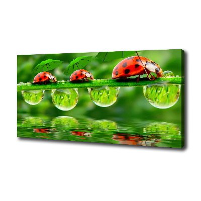 Cuadro canvas con impresión uv duradera horizontal Paraguas de mariquita