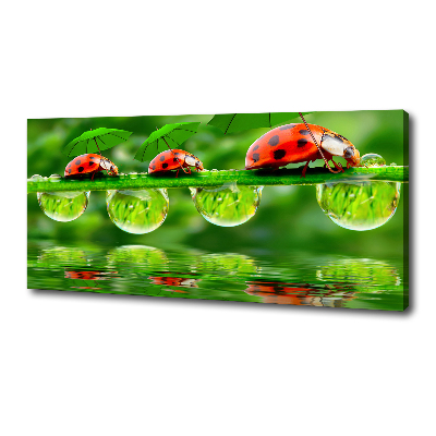 Cuadro canvas con impresión uv duradera horizontal Paraguas de mariquita