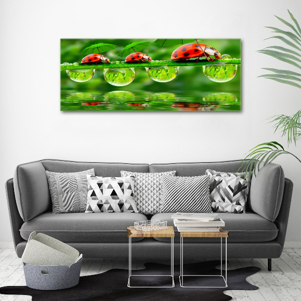 Cuadro canvas con impresión uv duradera horizontal Paraguas de mariquita