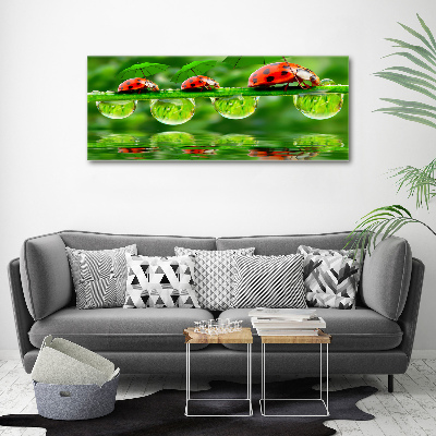 Cuadro canvas con impresión uv duradera horizontal Paraguas de mariquita