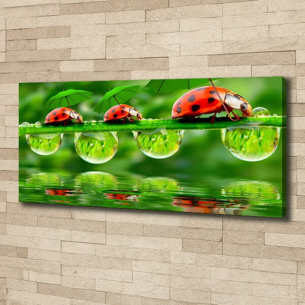 Cuadro canvas con impresión uv duradera horizontal Paraguas de mariquita