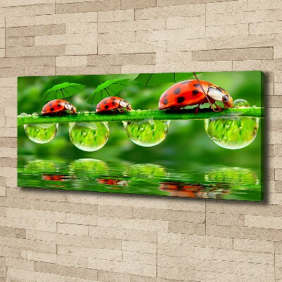 Cuadro canvas con impresión uv duradera horizontal Paraguas de mariquita