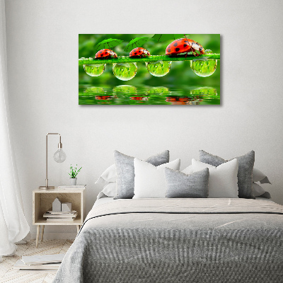 Cuadro canvas con impresión uv duradera horizontal Paraguas de mariquita