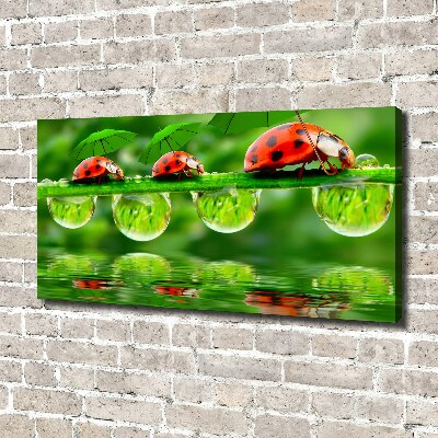 Cuadro canvas con impresión uv duradera horizontal Paraguas de mariquita
