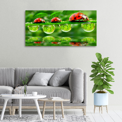 Cuadro canvas con impresión uv duradera horizontal Paraguas de mariquita