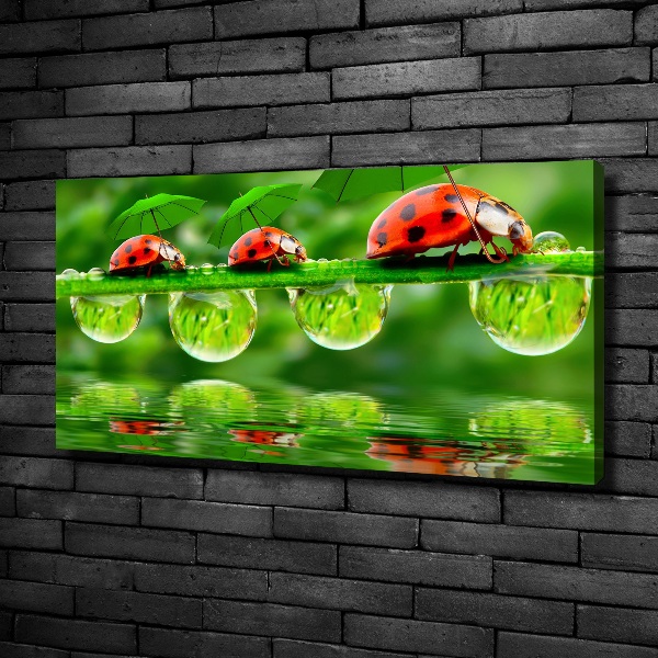 Cuadro canvas con impresión uv duradera horizontal Paraguas de mariquita