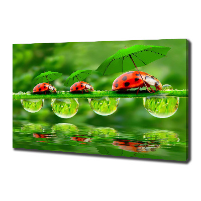 Cuadro canvas con impresión uv duradera horizontal Paraguas de mariquita
