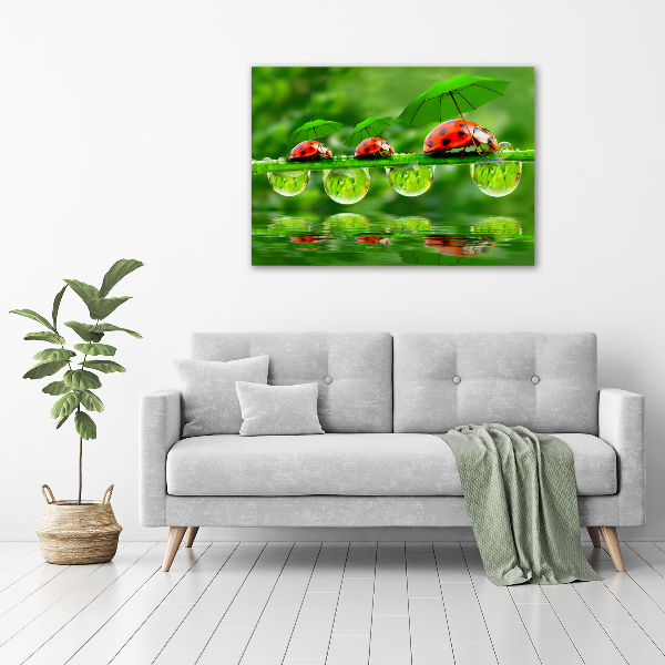 Cuadro canvas con impresión uv duradera horizontal Paraguas de mariquita