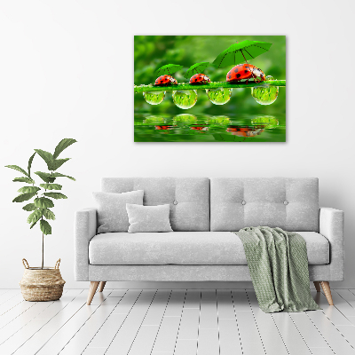 Cuadro canvas con impresión uv duradera horizontal Paraguas de mariquita